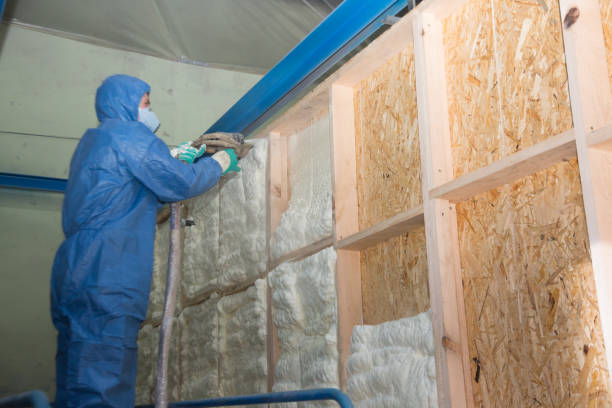 Best Cellulose Insulation  in Chase, PA