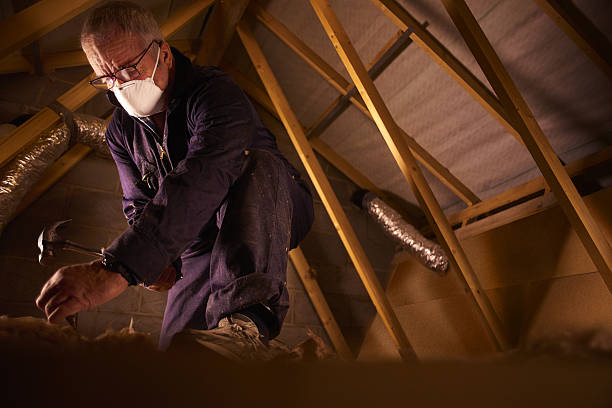 Best Insulation Replacement Services  in Chase, PA